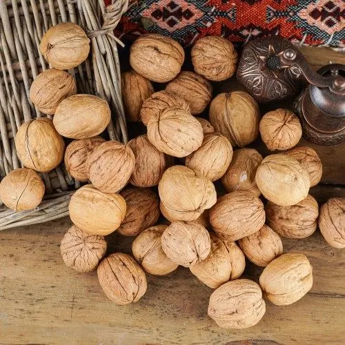 Ceviz Kabuklu Maraş