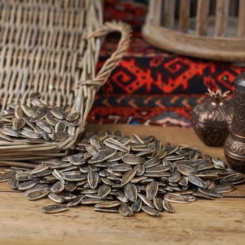 Ay Çekirdeği Dakota Çiğ Ay Çekirdeği Dakota Çiğ