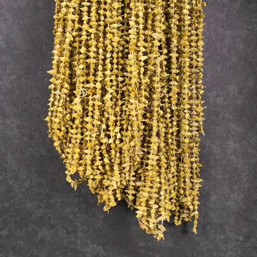 Çiçek Bamya Dolmalık 