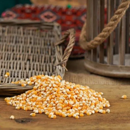 Patlatmalık Mısır