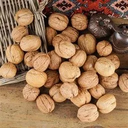 Ceviz Kabuklu Maraş
