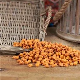 Mısır Çerezi Golden