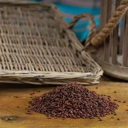 Üzüm Çekirdeği