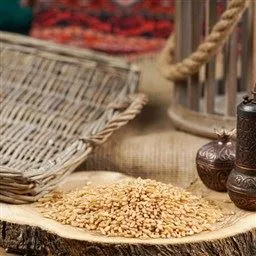 Hediklik Buğday