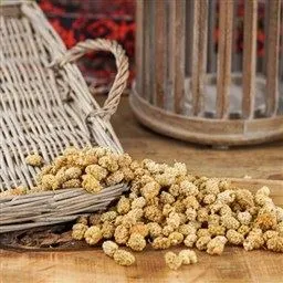 Dut Kurusu Malatya