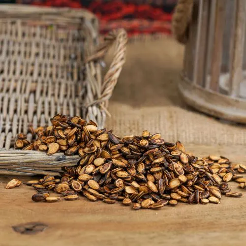 Karpuz Çekirdeği