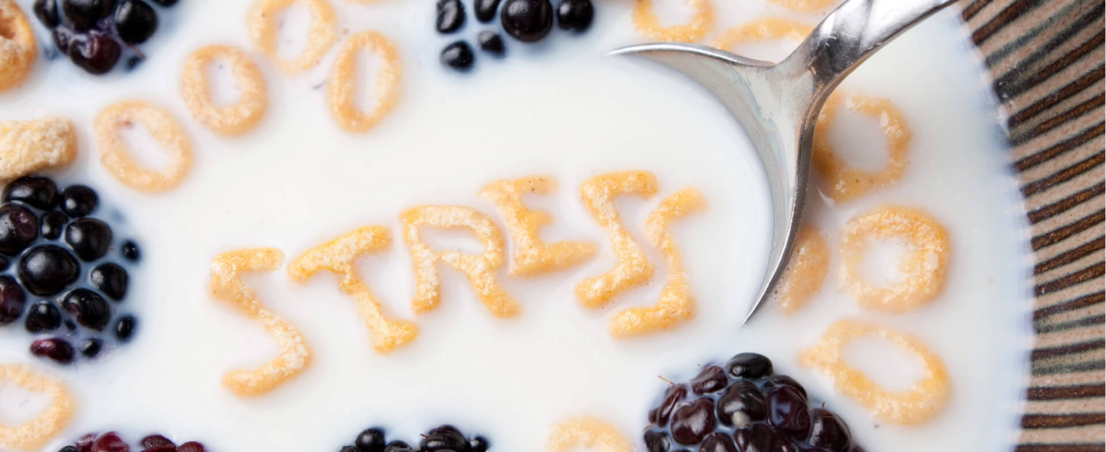 Sağlıklı Yaşam Tarzı: Stres Yönetimi ve Diyet