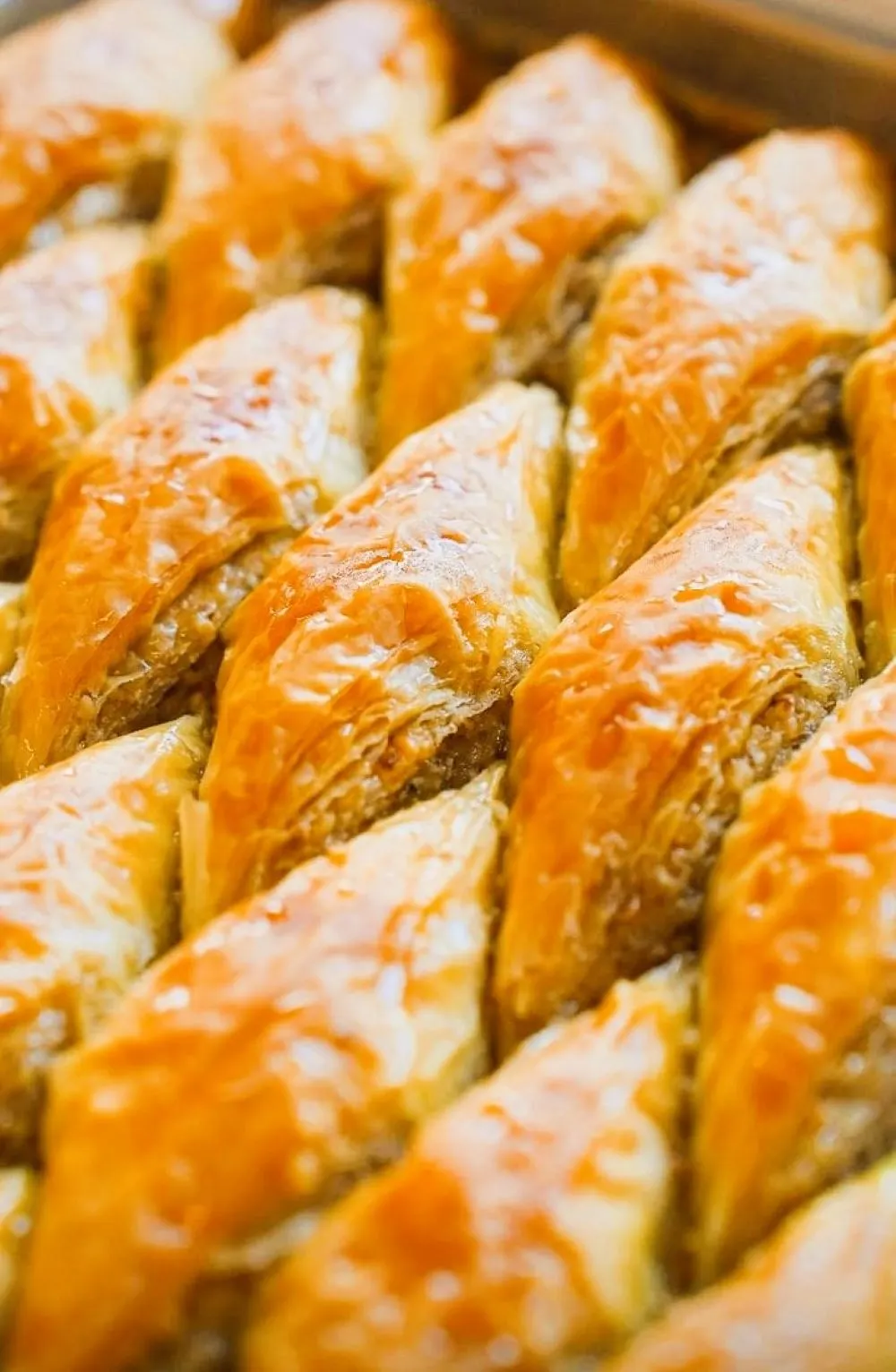 KÖSE KARAKUŞ CEVİZLİ