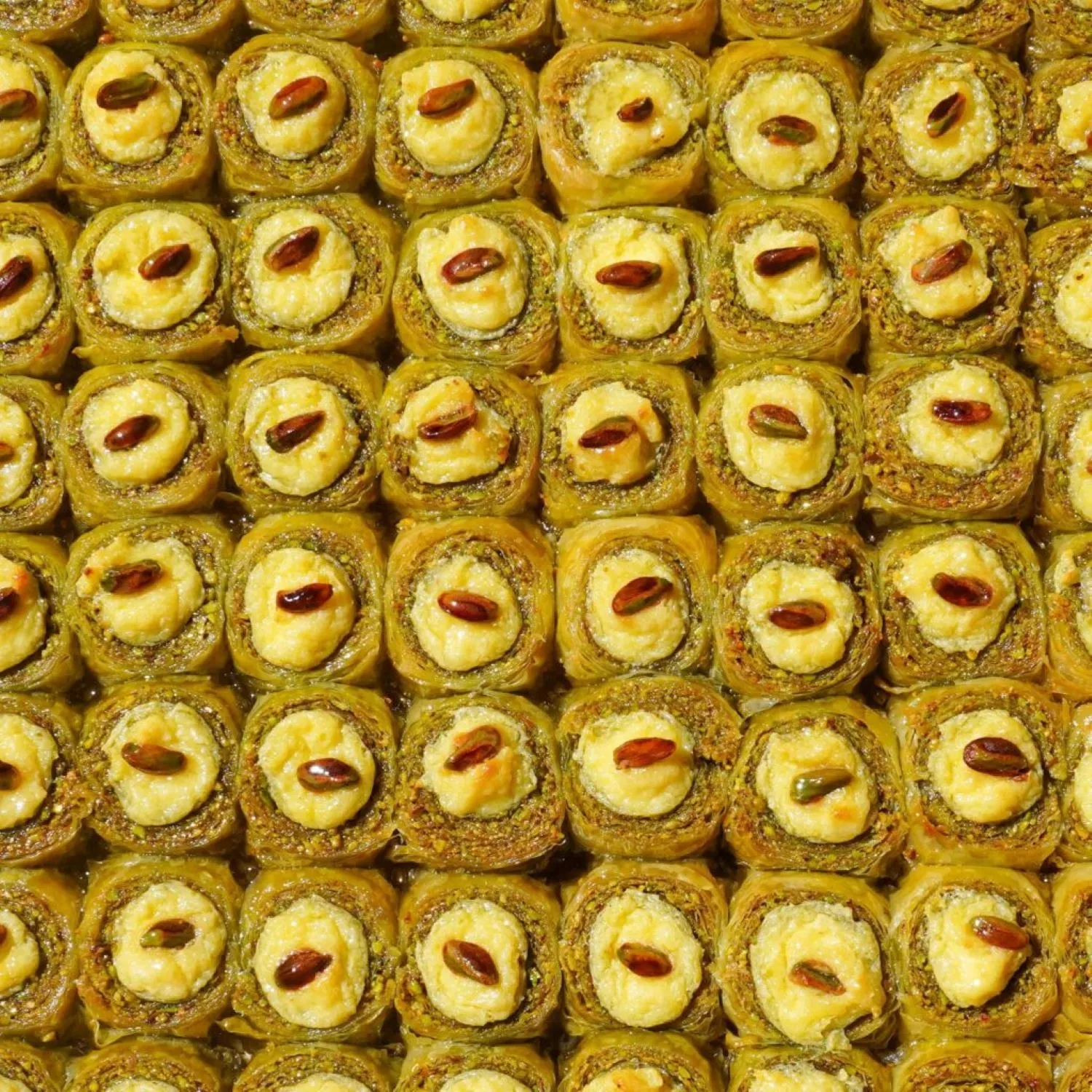 KÖSE KUŞGÖZÜ ÇİĞ