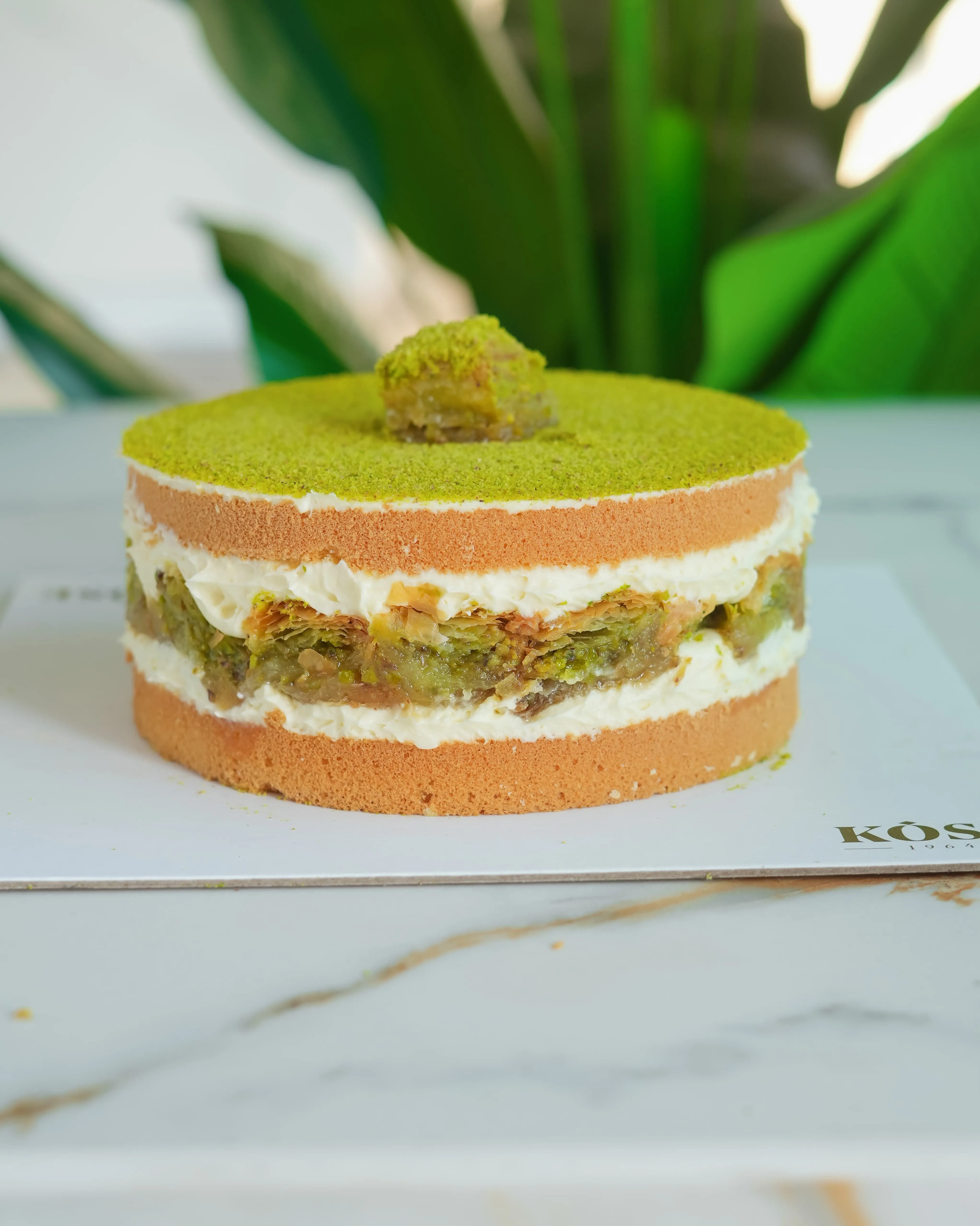 YAŞ PASTA BAKLAVALI NO:1