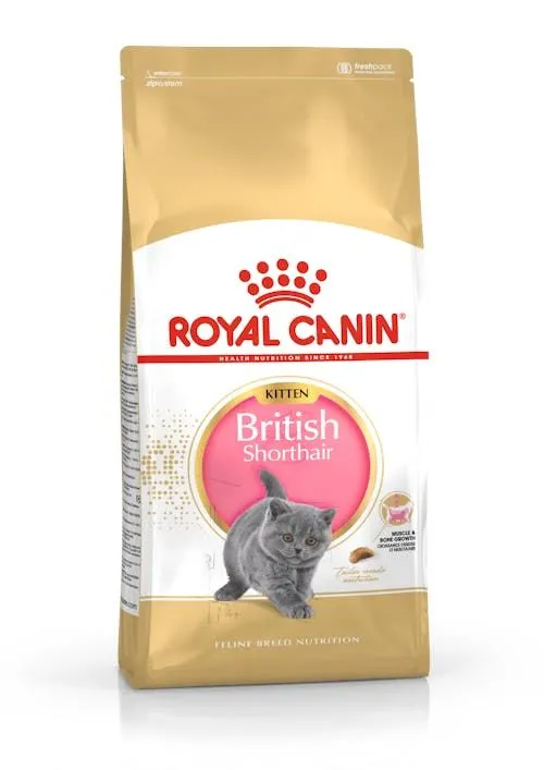 ROYAL CANIN CAT BRITISH SHORTHAIR KITTEN 2 KG