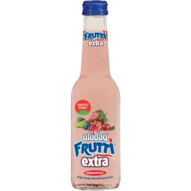 ULUDAG FRUTY EXTRA GAZLI ICECEK 250ML ORMAN MEYVEL