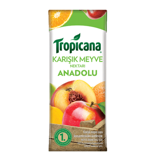 TROPICANA 200ML M.SUYU KARISIK