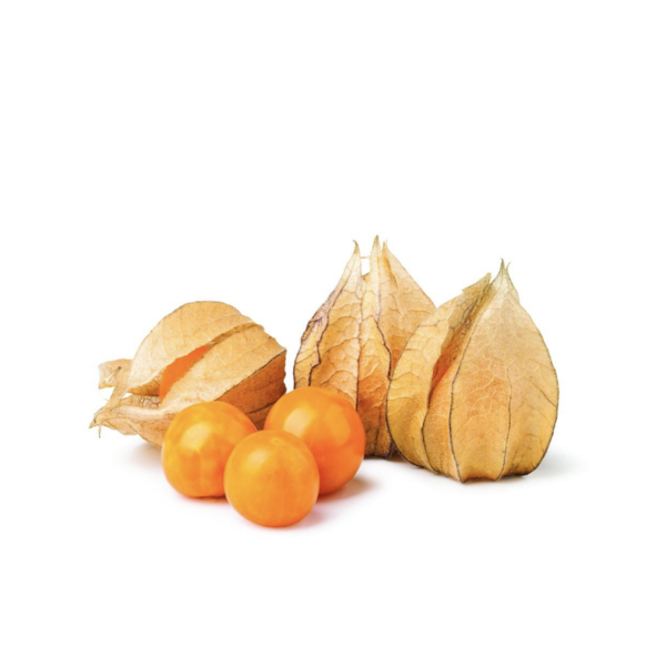MNV.PHYSALIS ALTIN CILEK 100 GR PAKET 